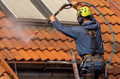 Démoussage et hydrofuge de toiture à Mézilhac